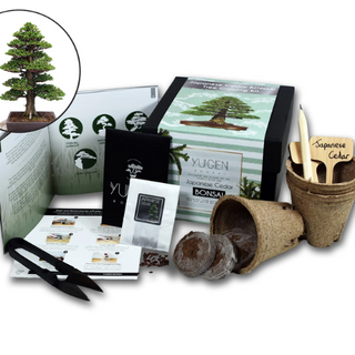Bonsai growing kit packaging and guide